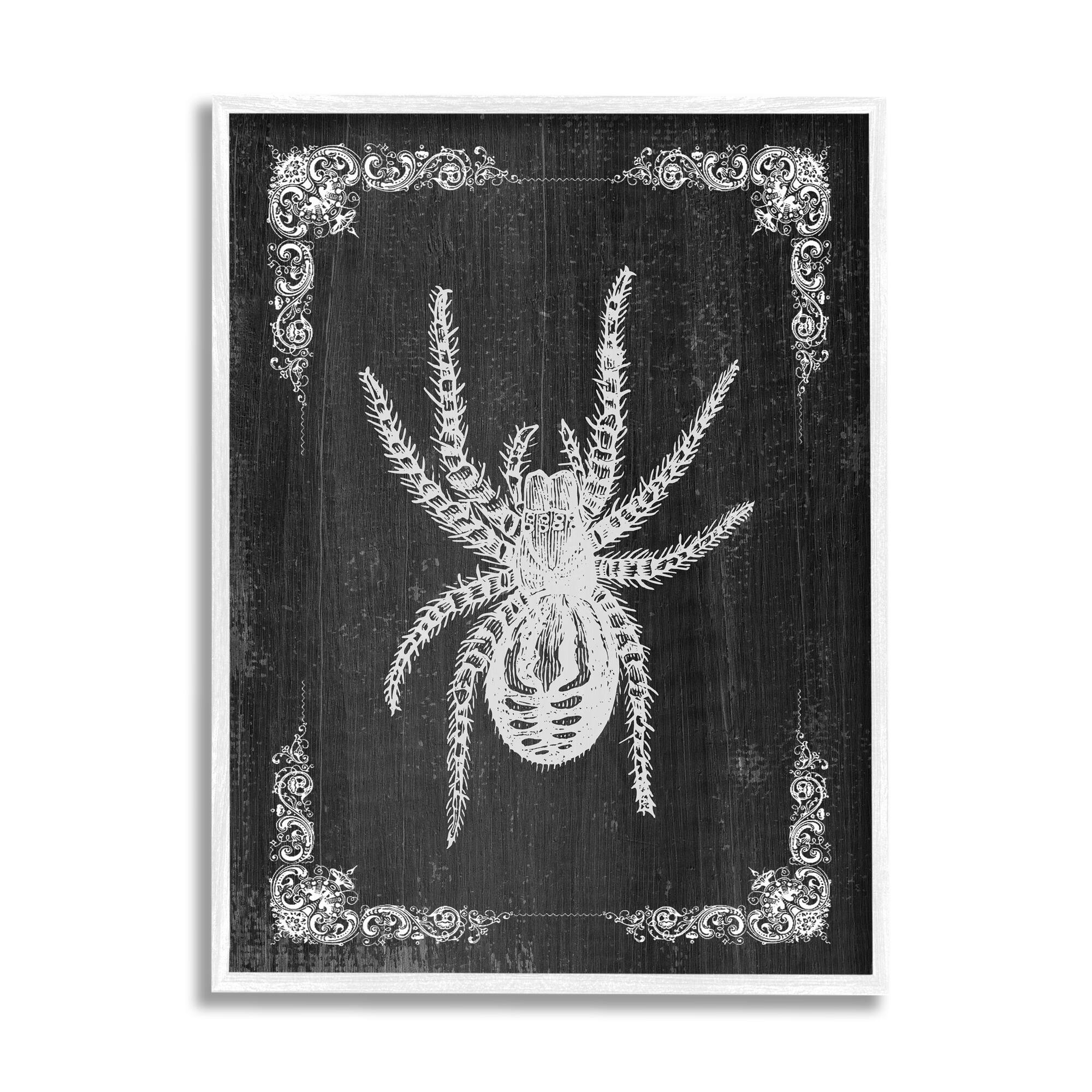 Stupell Industries Black & White Spider Framed Giclee Art